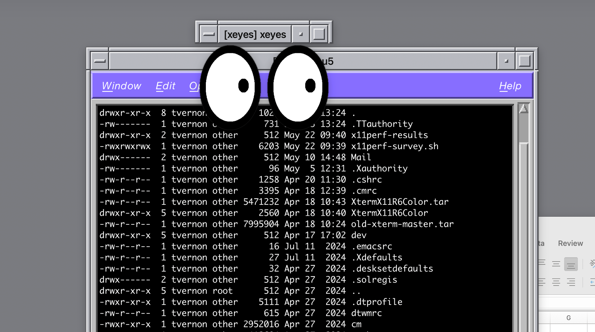 Shaped windows: oclock, xeyes, and friends